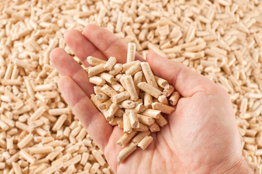 vendita pellet capaccio